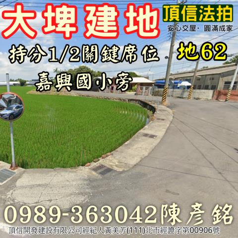 雲林大埤法拍建地-2