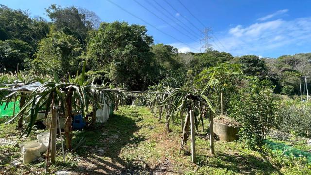 新竹峨眉農地-9