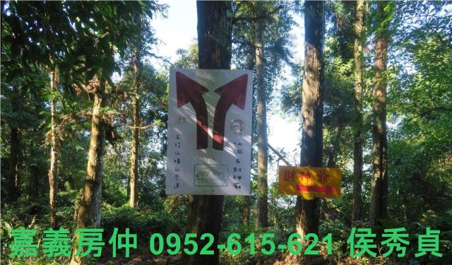 新竹北埔農地-1