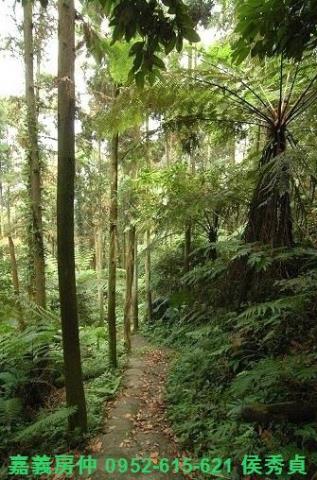 新竹北埔農地-2