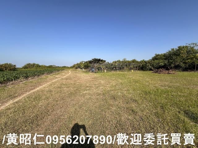 台南安南農地-1