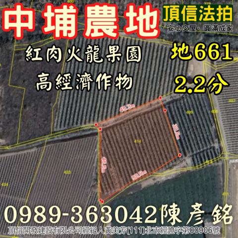 中埔法拍農地-4