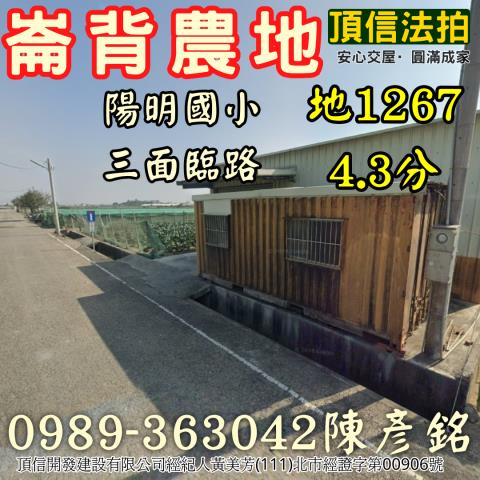 雲林崙背法拍農地-1