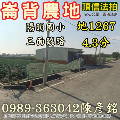 雲林崙背法拍農地-3