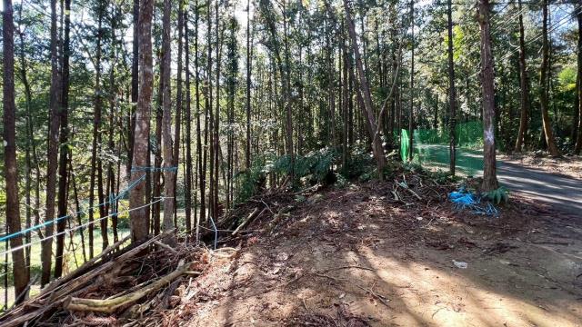 新竹竹東農地-6