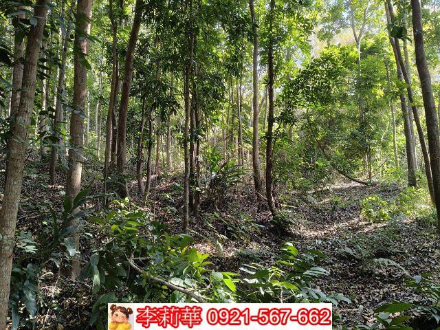 台南龍崎農地-11