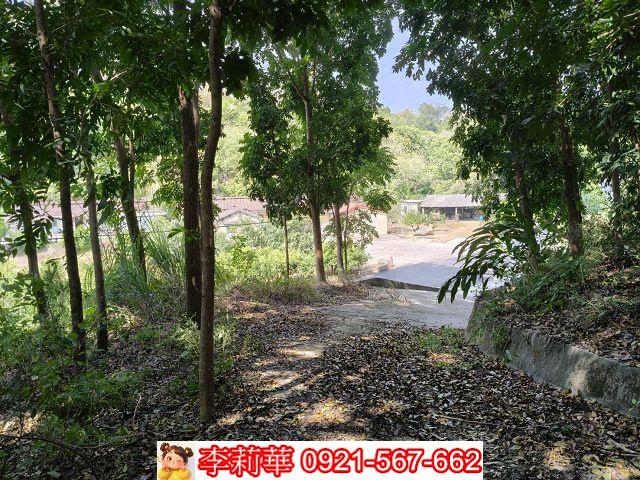 台南龍崎農地-5