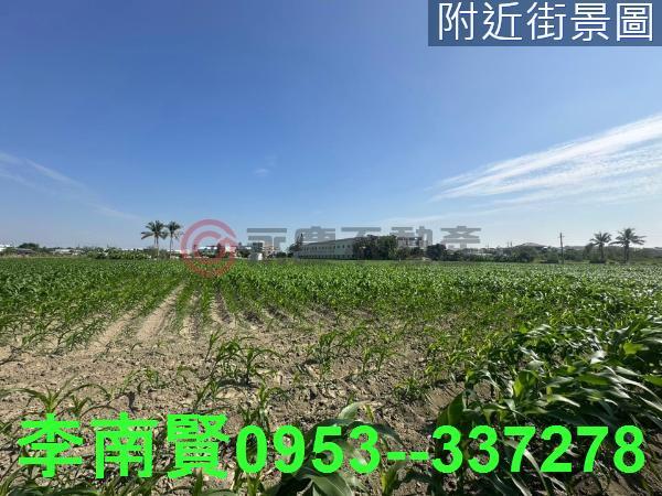台南安定農地-4