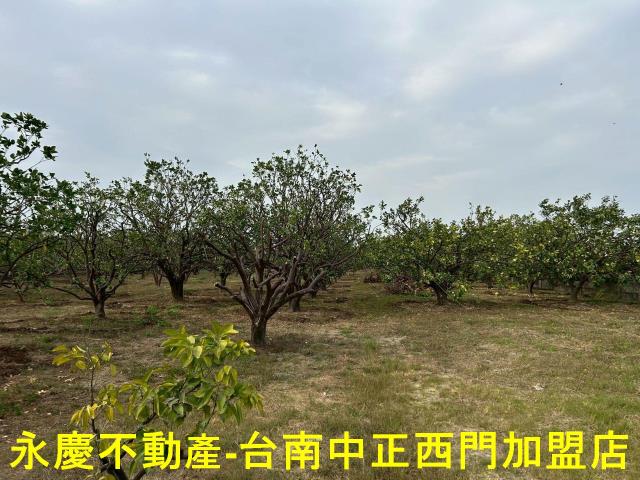 台南麻豆農地-5