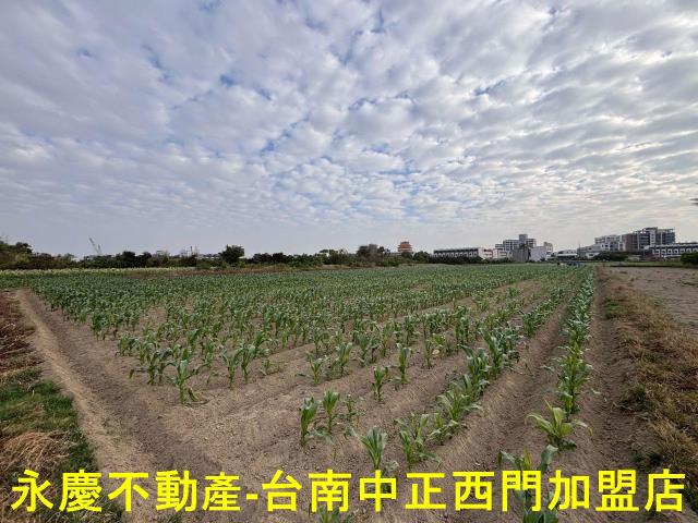 台南安南農地-4