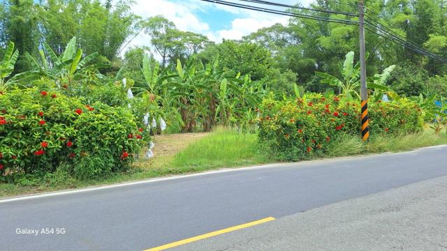 台南左鎮農地-3