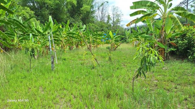 台南左鎮農地-6