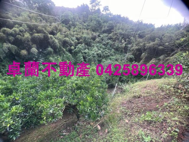 苗栗卓蘭農地-4