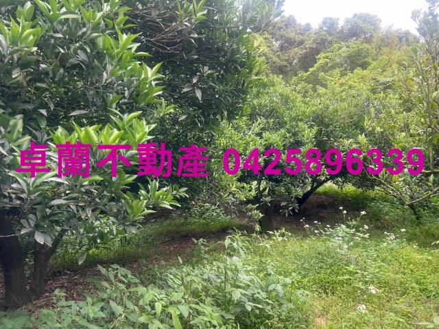 苗栗卓蘭農地-9