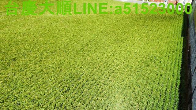 新豐農地-2