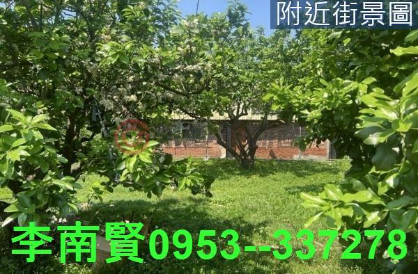台南農地-3