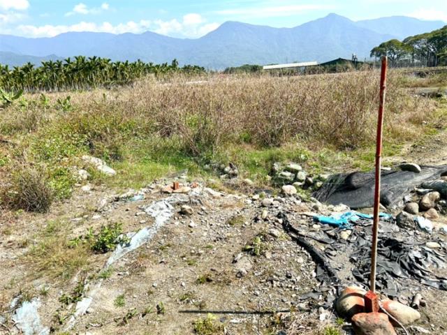 屏東高樹農地-5