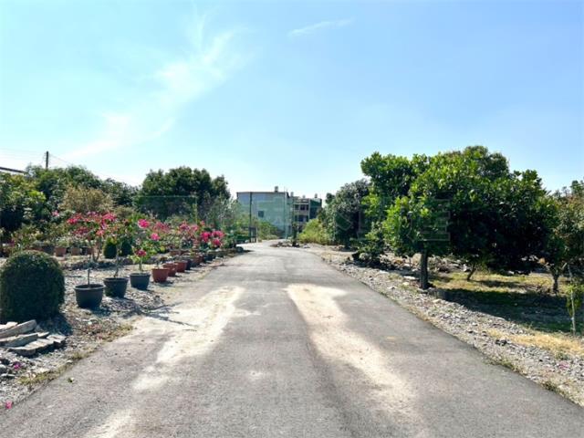 屏東高樹農地-2