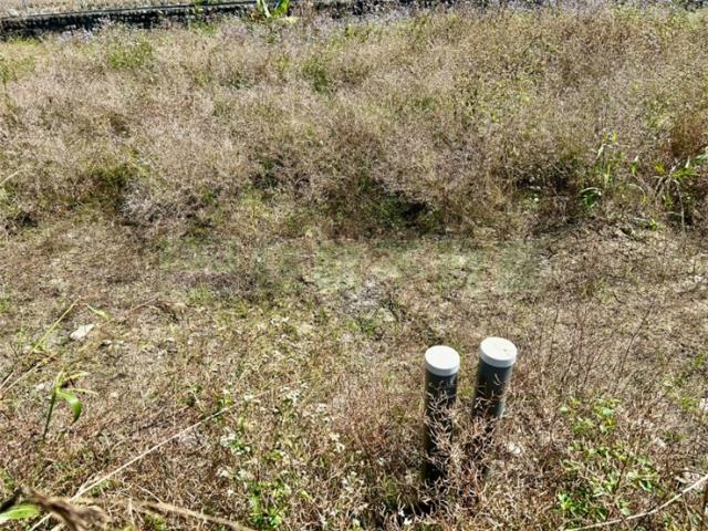 屏東高樹農地-5