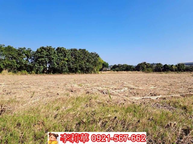 台南農地-11