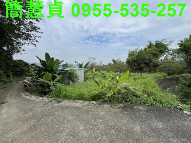 南投草屯農地-2