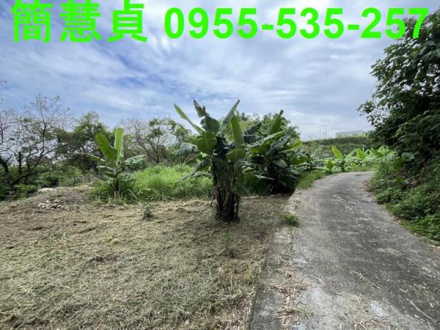 南投草屯農地-3