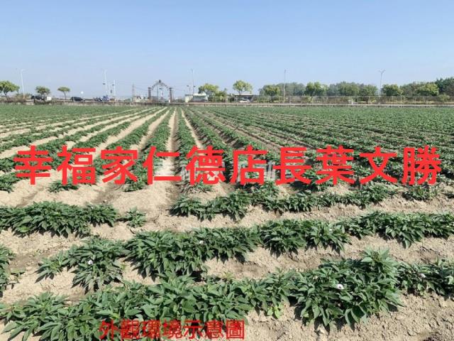 善化農地-8