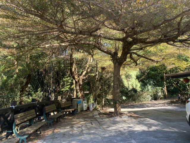 台中東勢農地-1