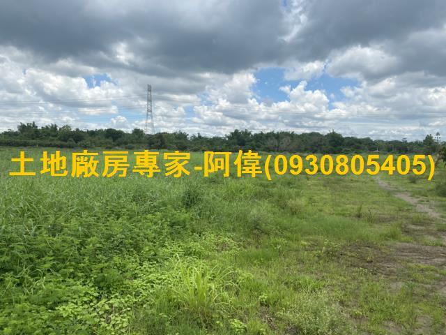 台南大內農地-1