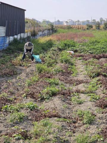 台南農地-5