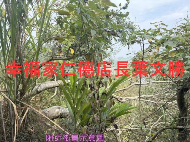 台南白河農地-14