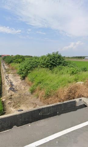 新港農地法拍-7