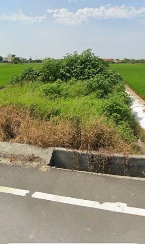 新港農地法拍-8