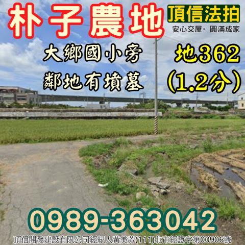 朴子農地拍賣-2