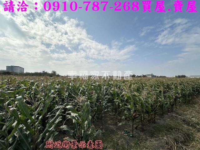 台南西港農地-12