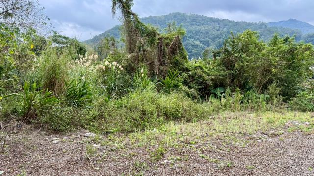 新竹橫山農地-10