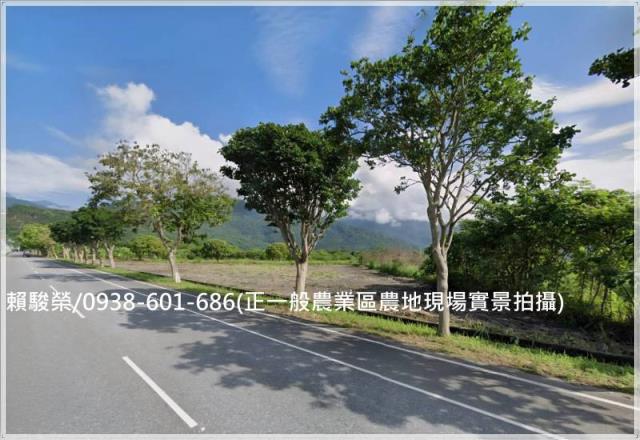 花蓮壽豐大面寬一般農