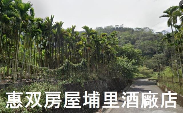 南投魚池農地-1