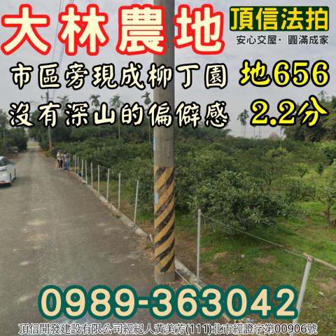 大林法拍農地-4