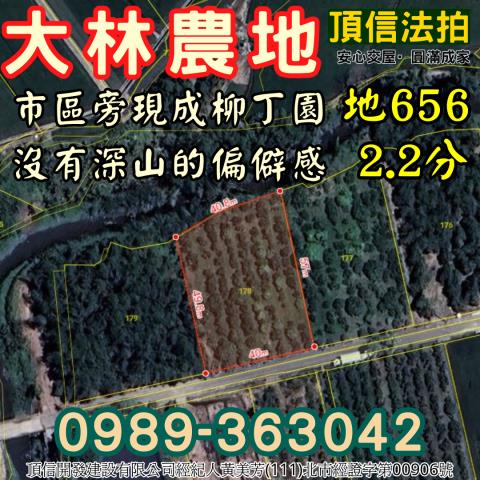 大林法拍農地-5