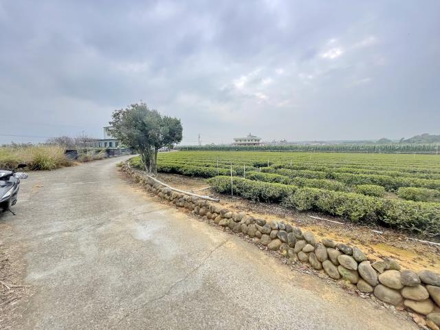 南投名間農地-1