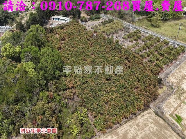 台南官田農地-6