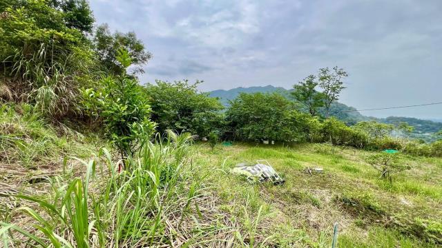 新竹橫山農地-7