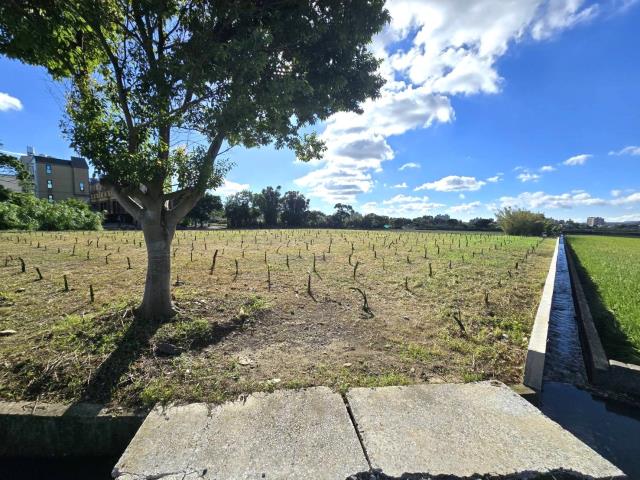 桃園平鎮農地-10