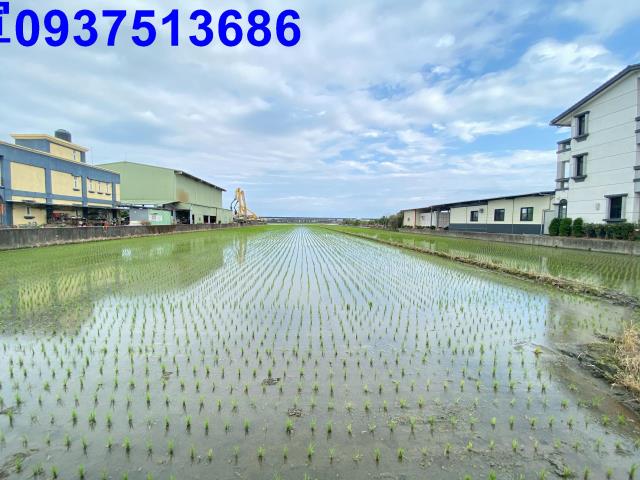 宜蘭壯圍農地-1