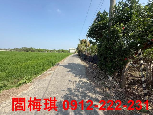 官田農地-5