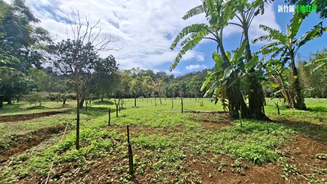 新竹農地-11