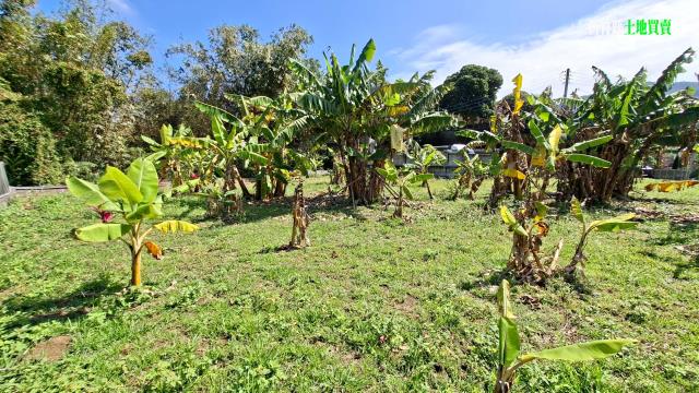 新竹橫山農地-13
