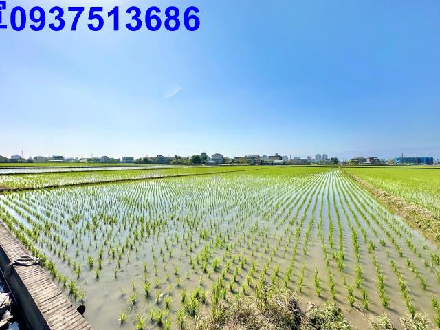 宜蘭宜蘭市農地-3