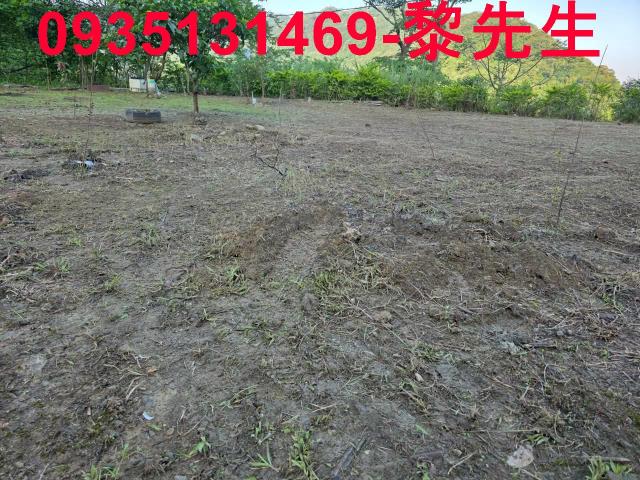 新竹橫山農地-10